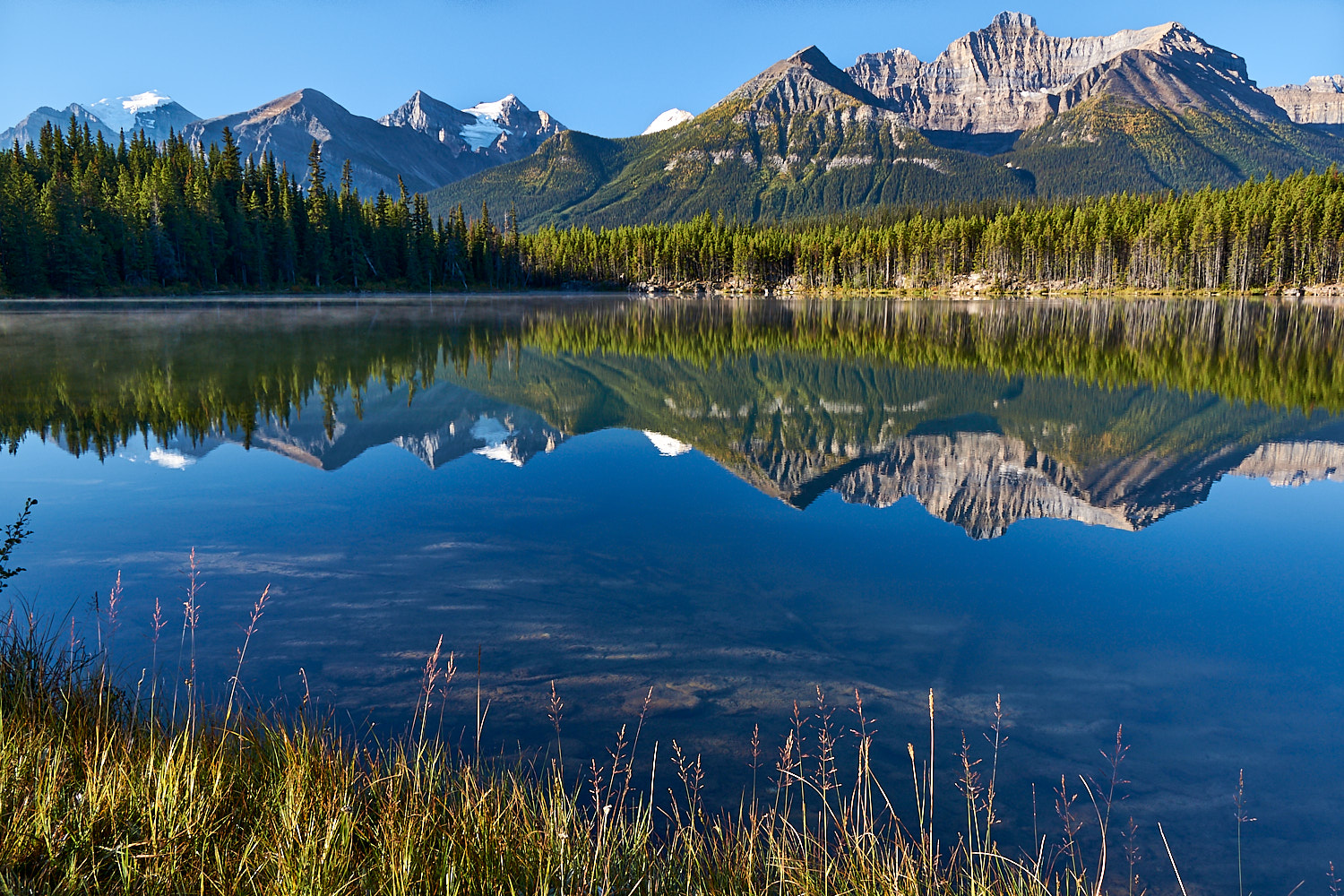 Icefields Parkway<br>2013